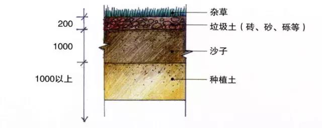 千层石厂家